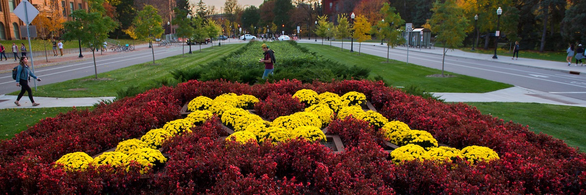 The letter M in flowers.